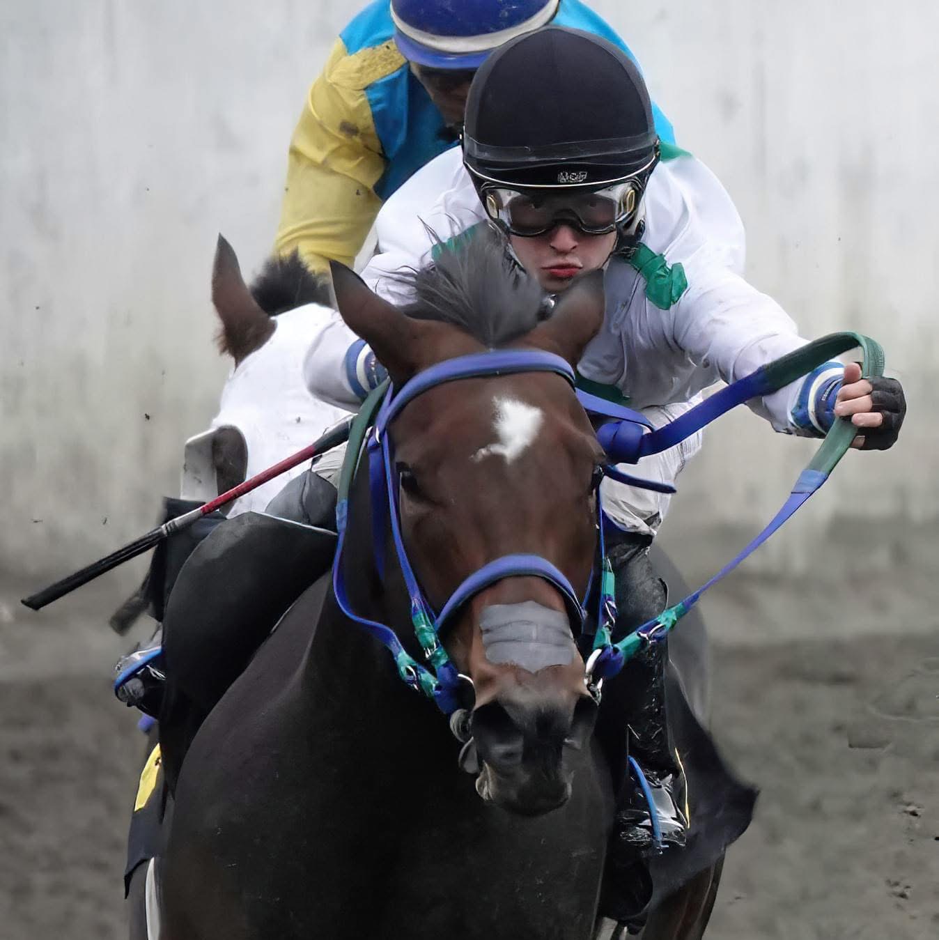 Thoroughbred racehorse