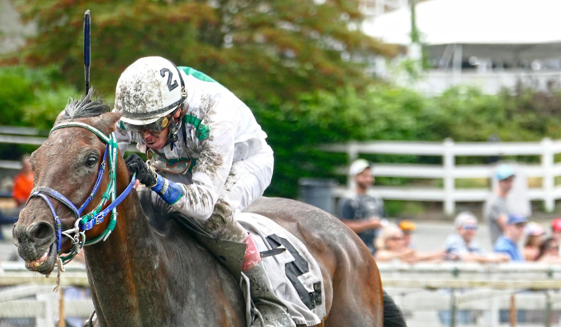 Thoroughbred racing at Woodbine